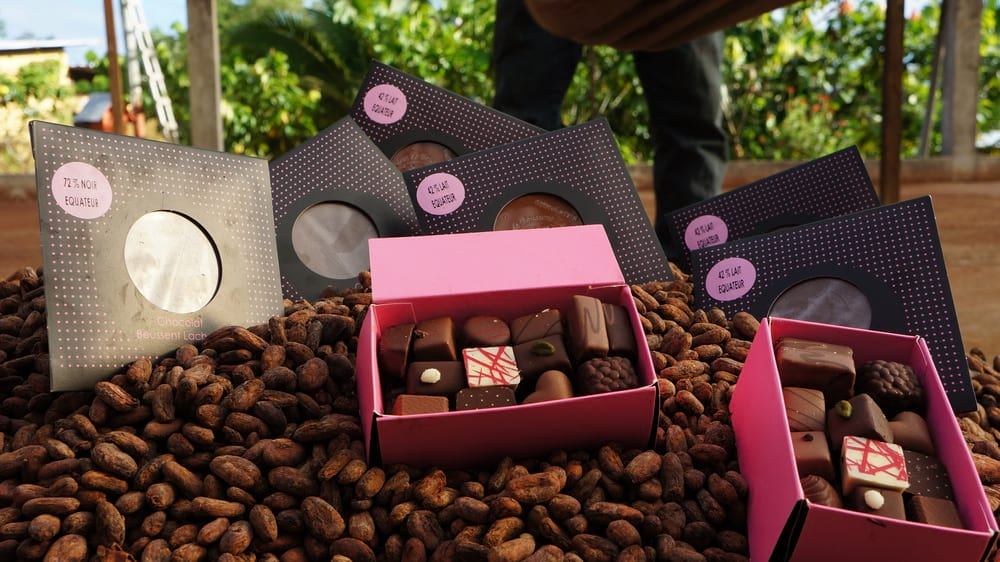 Boîtes de chocolats sur un lit de fèves de cacao
